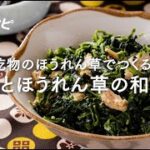 【副菜編】乾物のほうれん草でつくる！ ツナとほうれん草の和え物