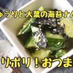 【レシピ・作り置き・おつまみ・副菜】夏の定番料理!ポリポリ食感がごちそう。きゅうりと大葉の海苔ナムル