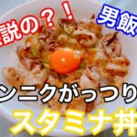 漢めしの定番料理！超簡単なスタミナ丼の作り方をご紹介します！