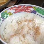 100年変わらぬレシピ カツ丼