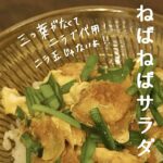 献立レシピ【簡単!20分で3品】親子丼と納豆きゅうりと味噌汁の日