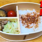 お弁当おかず作り置きレシピ3選 作り置きメニューだけでお弁当作りに挑戦!【毎日弁当】【旦那弁当】