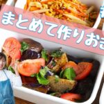 【作りおきレシピ】野菜たっぷり大満足なおかず5品Part17【便利な買い物リスト付き】