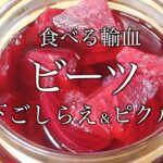ビーツ レシピ 食べる輸血ビーツ 下ごしらえ&ピクルス Beet Recipe Eat Transfused Beet Preparation & Pickles