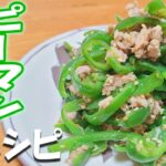 【簡単お弁当おかず】無限ピーマンの簡単レシピ!作り置きもOK!お弁当作り初心者でも失敗せずに作れる基本のピーマン料理の作り方【旦那弁当】