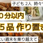 ズボラ主婦【簡単作り置き お弁当おかず 副菜】VLOG