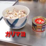【サバ缶とキャベツ納豆】今日の丼ぶりは、マヨにんにくドレッシング！