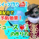 【簡単 梅ジュース 作り方】猫のアーサーが作る簡単！美味しい梅ジュースの作り方【猫のアーサー】