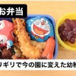 ４歳お弁当　今の幼稚園を選んでよかったこと