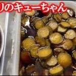 【無添加レシピ】キュウリのキューちゃん　夏野菜の漬物