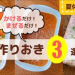 【夏休みお昼ごはん】子ども喜ぶ作り置きレシピで乗り切ろう!