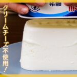 【パックで簡単！】レアチーズケーキの作り方♪【ヨーグルトで作るヘルシースイーツレシピ】