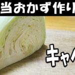 お弁当おかず作り置きレシピ キャベツの塩ダレ和えが簡単なのに美味しすぎた 週末作り置きレシピに是非!お弁当作りの強い味方【毎日弁当】