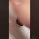 【ダイエット】太らないスイーツの作り方！