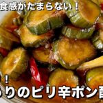 ご飯がすすむ副菜シリーズ!味しみ&食感がたまらない!きゅうりのピリ辛ポン酢漬けの作り方