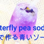 青いソーダ【バタフライピーソーダレシピ】#バタフライピー #青いソーダ
