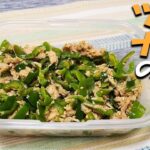 お弁当おかず作り置きレシピ　ピーマンとツナのレンチン白ごま和えが最強に簡単なのに美味しすぎた！週末作っておくとお弁当作りの強い味方に！【毎日弁当】