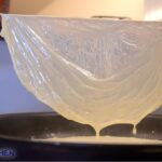 【湯葉丼】おうちで作る最高の湯葉丼の作り方【全国の湯葉好きさんへ】