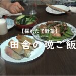 【田舎の生活】採れたて野菜たちで晩ご飯。田舎の野菜モリモリな食卓