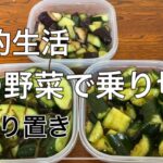 副菜は節約レシピで金かけない/主婦の作り置き節約生活/家計見直し食費削減