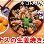 【お弁当 134】ナスと鶏肉レシピ☆ とろとろナスとぷりぷり鶏肉!簡単!やみつき!のっけ弁 ご飯のおかず おつまみ【鶏肉とナスの生姜焼き弁当】概要欄に材料の記載あり✨☀️✨