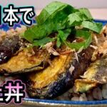 【なす1本でお肉以上】5分で絶品丼！料理したくない人に試して欲しい感動の味