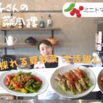 ミニトマトとししとうを活用！たくさん採れる夏野菜大活躍レシピ４選！　食育子さん・管理栄養士が実演するクッキング　2021年7月の収穫野菜　ハタムスビ野菜作り
