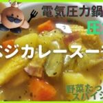 ベジスープカレー🥕圧力3分 野菜たっぷりスパイシーなスープ*電気圧力鍋レシピ