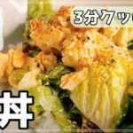 鮭レタス丼が美味し過ぎて箸が止まらない！？3分で作れる悪魔レシピ！