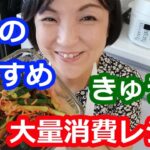 【きゅうり大量消費！本で人気のレシピ】きゅうりの甘酢しょうが漬け【野菜たっぷり大量消費レシピ304】料理研究家・栄養士 阪下 千恵