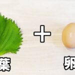 【簡単お弁当おかず】たまご1つで作れる大葉まるごとクルクル卵焼きの作り方!5分以内で作れる玉子を使ったお弁当の副菜レシピを紹介します