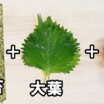 【簡単お弁当おかず】たまご１つで作れる大葉と海苔のレンチンエッグレシピ！5分以内で作れる玉子を使ったお弁当の副菜の作り方を紹介します