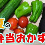 夏のお弁当おかず5選!8月のお弁当作りに入れてほしいナスビやプチトマト・ナスビなど旬の夏野菜を使った夏バテ防止にもピッタリな料理のレシピ紹介
