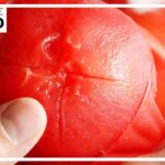 【夏野菜】丸ごとジューシートマトレシピ BEST10