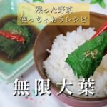 無 限 大 葉 〜残った野菜使っちゃおうレシピ〜Byミエシカル