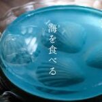 【暮らしVLOG】海を食べる夏の午後/レアチーズケーキのレシピ【ゆるぬけ56】