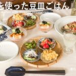 【暮らしVlog】夏野菜を使った豆皿ごはん / 晩酌レシピ / 40代主婦の日常 / 丁寧な暮らし / Coordinating bean dishes with summer vegetables