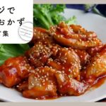 【レンジでメインおかずレシピ集】レンチン一発！🙌困った時のお助けレシピ！