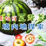 地産地消レシピ「夏野菜と境内地探索」