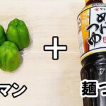 【お弁当おかず】ピーマンの作り置きおかずレシピ　レンジで超時短！麺つゆとすりゴマで和えるだけで最強に美味しい副菜が完成です【愛する妻に捧げるお弁当作り】