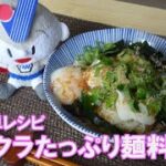 【簡単レシピ】オクラたっぷり麺料理