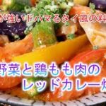 夏野菜と鶏もも肉のレッドカレー炒めの作り方　くせが強いドハマるタイ風の料理♪