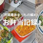 【お弁当と作りおき】彼氏のお弁当作り🍱 冷蔵庫のあまりもので作る簡単おかず. 初めてのゴーヤチャンプル