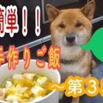【手作りご飯】超～簡単犬の手作りご飯第３段！！野菜たっぷり肉団子スープを食べる柴犬(アフレコ)
