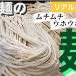 【製麺所監修】【ムチムチ】お家でつけ麺用の麺【作り方】【おうち麺】