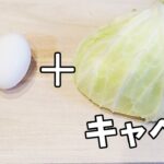 【お弁当おかず】キャベツと卵の作り置きおかず中華風味　冷蔵庫にあるもので作れるレシピのが最強に簡単すぎで美味しすぎる！お弁当作りの強い味方に是非！