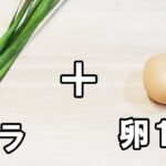 【お弁当おかず】卵1個で作る冷めても美味しい究極ニラ玉の作り方　もはや主役！冷蔵庫にあるもので簡単おいしいアレンジ玉子レシピ/旦那弁当/毎日弁当/節約弁当