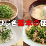 【おかひじき 基本の使い方】おかひじきのおいしさがよくわかるレシピ3選とこれだけは外せない4つのポイント。野菜ソムリエプロが作る一番わかりやすいレシピ動画です。