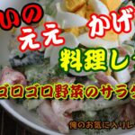 野菜ゴロゴロサラダ 髭じいの ええ かげんな 料理レシピ 俺のお気に入りレシピ NO,1-12