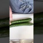 切って和えるだけ😍副菜にもつまみにも合う【きゅうりとザーサイの和え物】#Shorts #ひめりんご